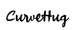CurveHug - logo